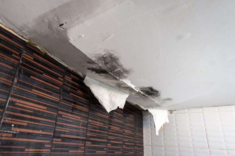 Bathroom Water Damage Repair in Conroe, TX