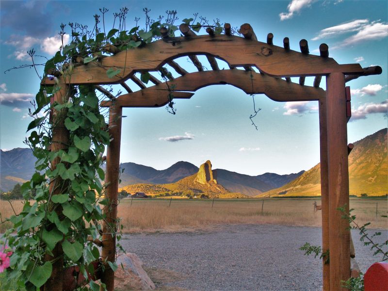 Products For Trellis Repairs in use