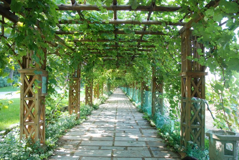 Structural Reinforcement of Trellis